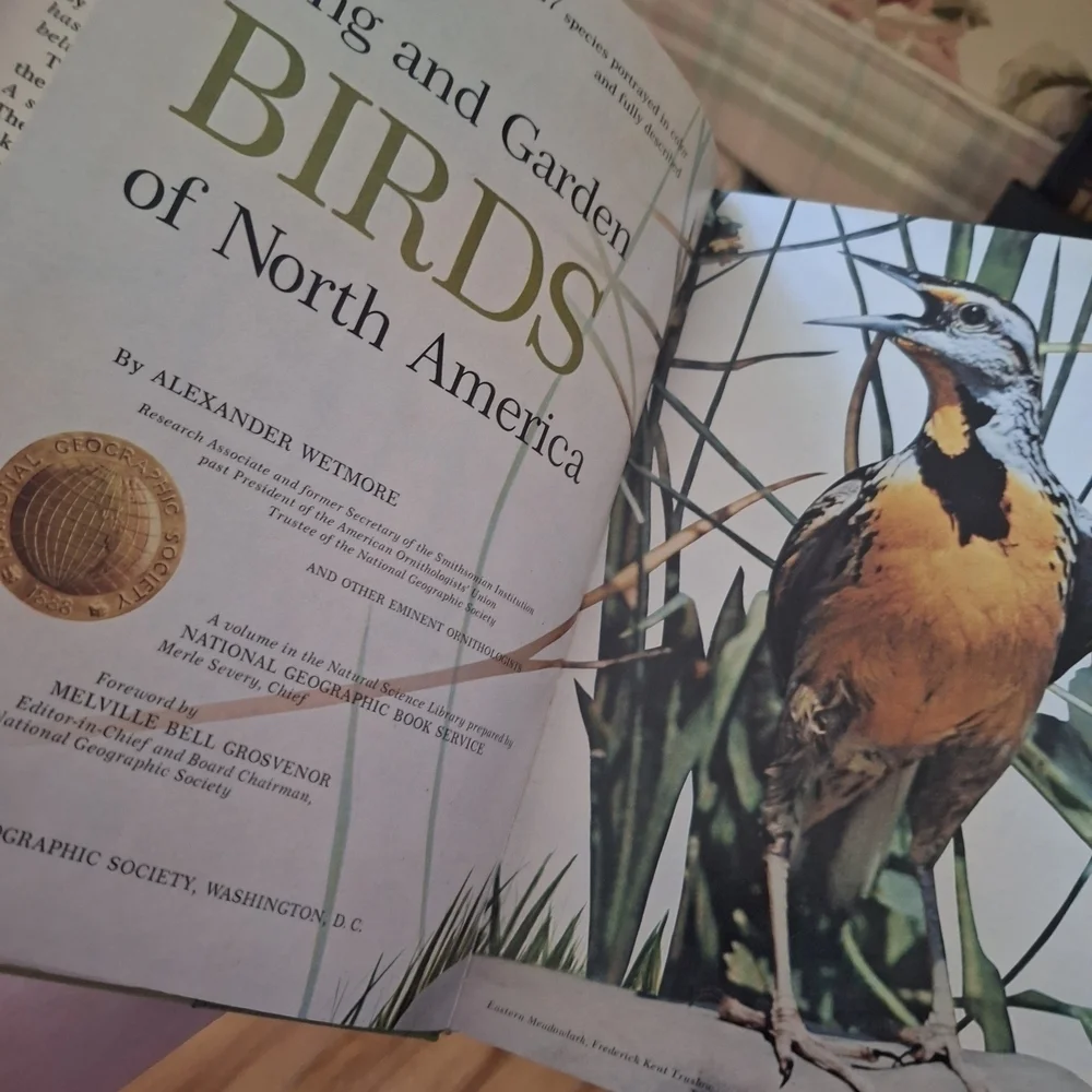 National Geographic Blue and White Bird Guide